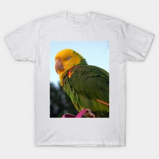 MACAW T-Shirt